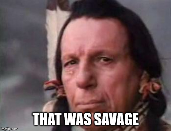Native American Single Tear | THAT WAS SAVAGE | image tagged in native american single tear | made w/ Imgflip meme maker