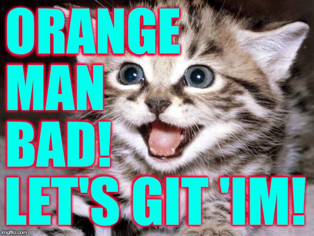 Cute Kitten Hopes | ORANGE
MAN
BAD! LET'S GIT 'IM! | image tagged in cute kitten hopes | made w/ Imgflip meme maker