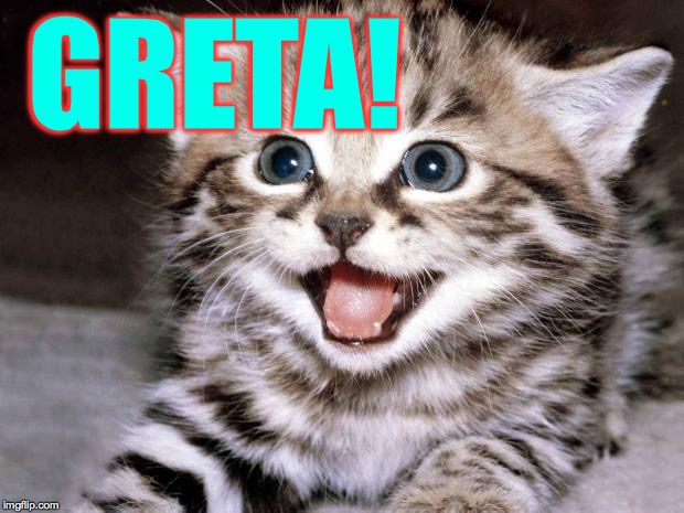 Cute Kitten Hopes | GRETA! | image tagged in cute kitten hopes | made w/ Imgflip meme maker