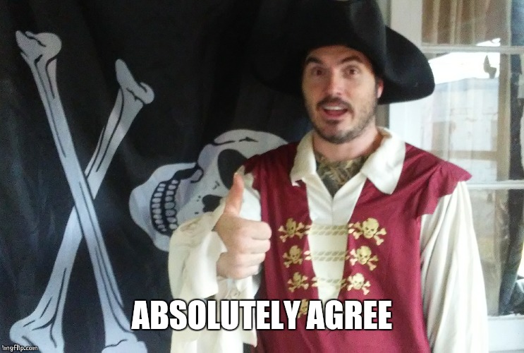 PIRATE THUMBS UP | ABSOLUTELY AGREE | image tagged in pirate thumbs up | made w/ Imgflip meme maker