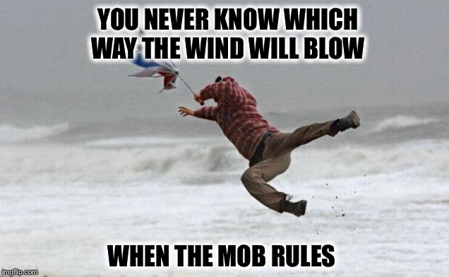 YOU NEVER KNOW WHICH WAY THE WIND WILL BLOW WHEN THE MOB RULES | made w/ Imgflip meme maker
