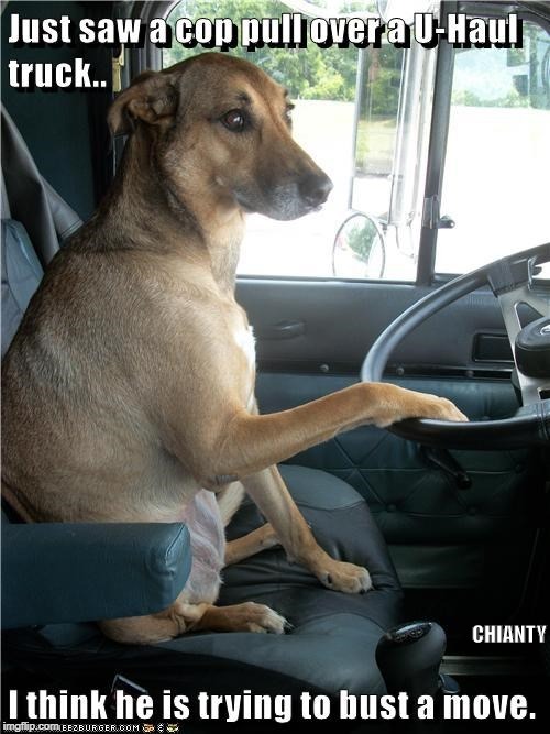 U Haul | CHIANTY | image tagged in cops | made w/ Imgflip meme maker