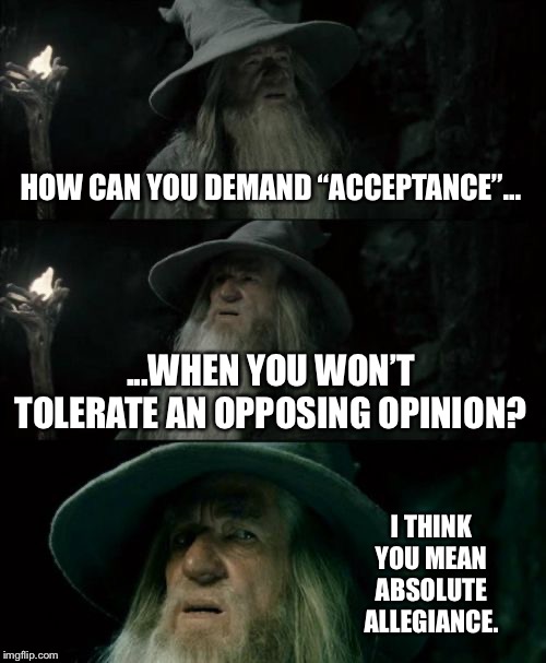 Don’t force your opinion on me without hearing me out | HOW CAN YOU DEMAND “ACCEPTANCE”... ...WHEN YOU WON’T TOLERATE AN OPPOSING OPINION? I THINK YOU MEAN ABSOLUTE ALLEGIANCE. | image tagged in memes,confused gandalf,opinion,free speech,triggered,politics | made w/ Imgflip meme maker