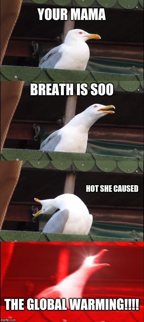 Inhaling Seagull | YOUR MAMA; BREATH IS SOO; HOT SHE CAUSED; THE GLOBAL WARMING!!!! | image tagged in memes,inhaling seagull | made w/ Imgflip meme maker