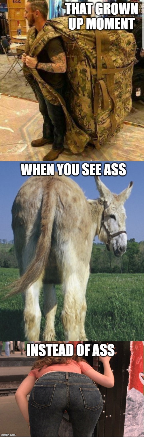 THAT GROWN UP MOMENT; WHEN YOU SEE ASS; INSTEAD OF ASS | image tagged in eurotrip sweet ass,donkey ass,big ass huge camo backpack ruckzak,memes | made w/ Imgflip meme maker