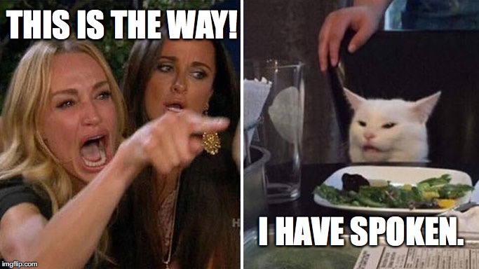 Angry lady cat | THIS IS THE WAY! I HAVE SPOKEN. | image tagged in angry lady cat | made w/ Imgflip meme maker
