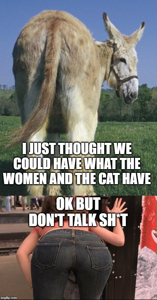 I JUST THOUGHT WE COULD HAVE WHAT THE WOMEN AND THE CAT HAVE; OK BUT DON'T TALK SH*T | image tagged in eurotrip sweet ass,donkey ass,memes,funny,fun,lol | made w/ Imgflip meme maker