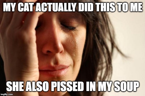 First World Problems Meme | MY CAT ACTUALLY DID THIS TO ME SHE ALSO PISSED IN MY SOUP | image tagged in memes,first world problems | made w/ Imgflip meme maker