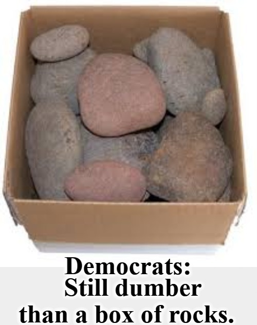 Welcome to the Democrat Party | Still dumber than a box of rocks. | image tagged in dumber than a box of rocks,democratic party,democrats,crying democrats,democratic convention,liberalism | made w/ Imgflip meme maker