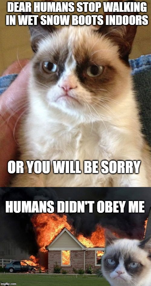 grumpy cat revenge | DEAR HUMANS STOP WALKING IN WET SNOW BOOTS INDOORS; OR YOU WILL BE SORRY; HUMANS DIDN'T OBEY ME | image tagged in memes,grumpy cat,burn kitty | made w/ Imgflip meme maker