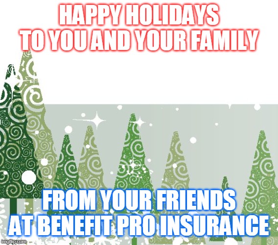 happy holidays | HAPPY HOLIDAYS TO YOU AND YOUR FAMILY; FROM YOUR FRIENDS AT BENEFIT PRO INSURANCE | image tagged in happy holidays | made w/ Imgflip meme maker