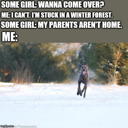 Dog Running | SOME GIRL: WANNA COME OVER? ME: I CAN'T. I'M STUCK IN A WINTER FOREST. SOME GIRL: MY PARENTS AREN'T HOME. ME: | image tagged in dog running | made w/ Imgflip meme maker