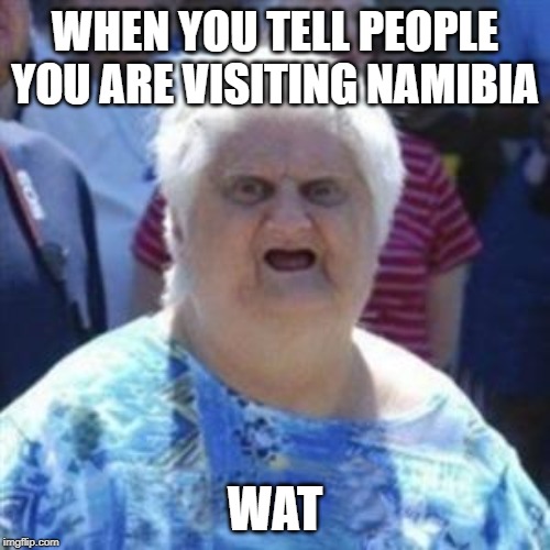 WAT Lady | WHEN YOU TELL PEOPLE YOU ARE VISITING NAMIBIA; WAT | image tagged in wat lady | made w/ Imgflip meme maker