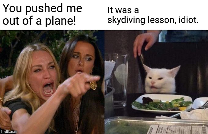 Woman Yelling At Cat Meme | You pushed me out of a plane! It was a skydiving lesson, idiot. | image tagged in memes,woman yelling at cat | made w/ Imgflip meme maker
