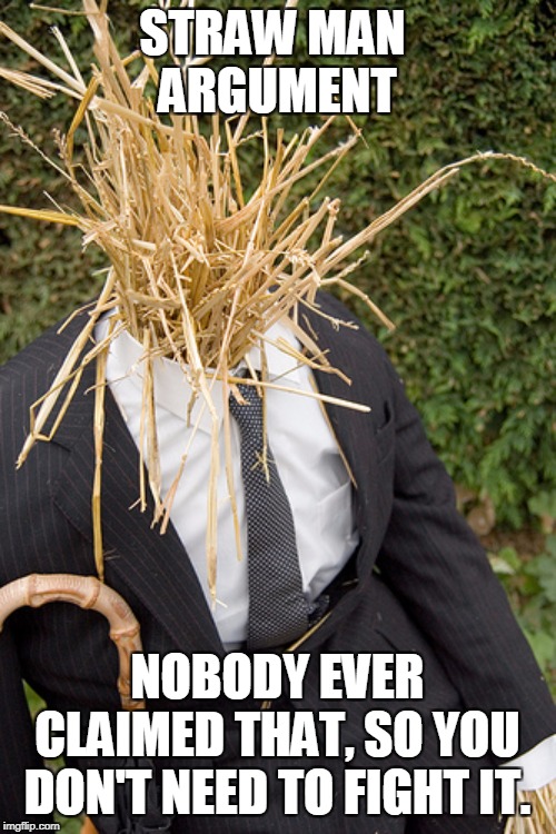 Straw Man | STRAW MAN 
ARGUMENT NOBODY EVER CLAIMED THAT, SO YOU DON'T NEED TO FIGHT IT. | image tagged in straw man | made w/ Imgflip meme maker