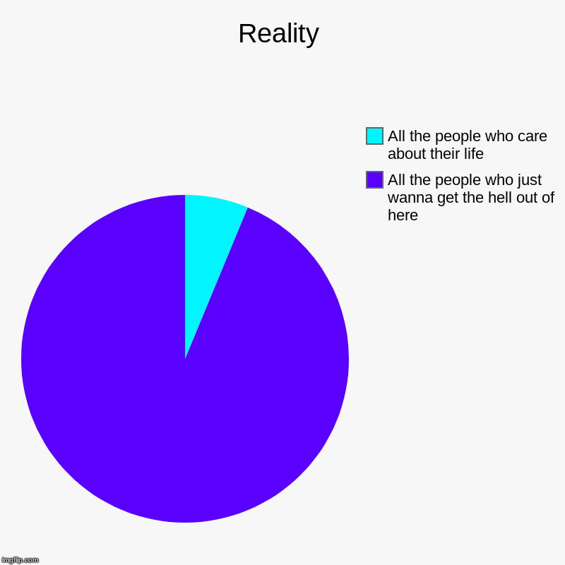 Reality | All the people who just wanna get the hell out of here, All the people who care about their life | image tagged in charts,pie charts | made w/ Imgflip chart maker