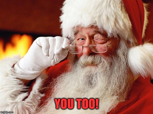 santa | YOU TOO! | image tagged in santa | made w/ Imgflip meme maker