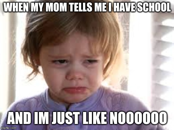 Me everyday | WHEN MY MOM TELLS ME I HAVE SCHOOL; AND IM JUST LIKE NOOOOOO | image tagged in crying baby | made w/ Imgflip meme maker