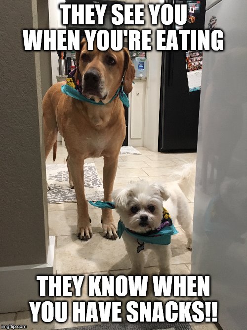 THEY SEE YOU WHEN YOU'RE EATING; THEY KNOW WHEN YOU HAVE SNACKS!! | made w/ Imgflip meme maker