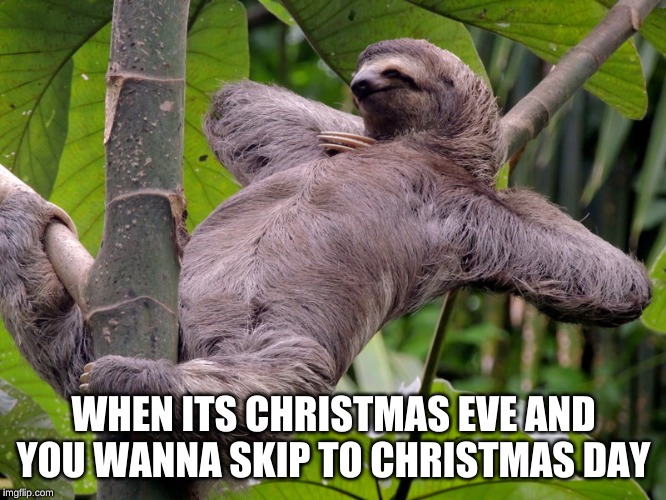 Lazy Sloth | WHEN ITS CHRISTMAS EVE AND YOU WANNA SKIP TO CHRISTMAS DAY | image tagged in lazy sloth | made w/ Imgflip meme maker