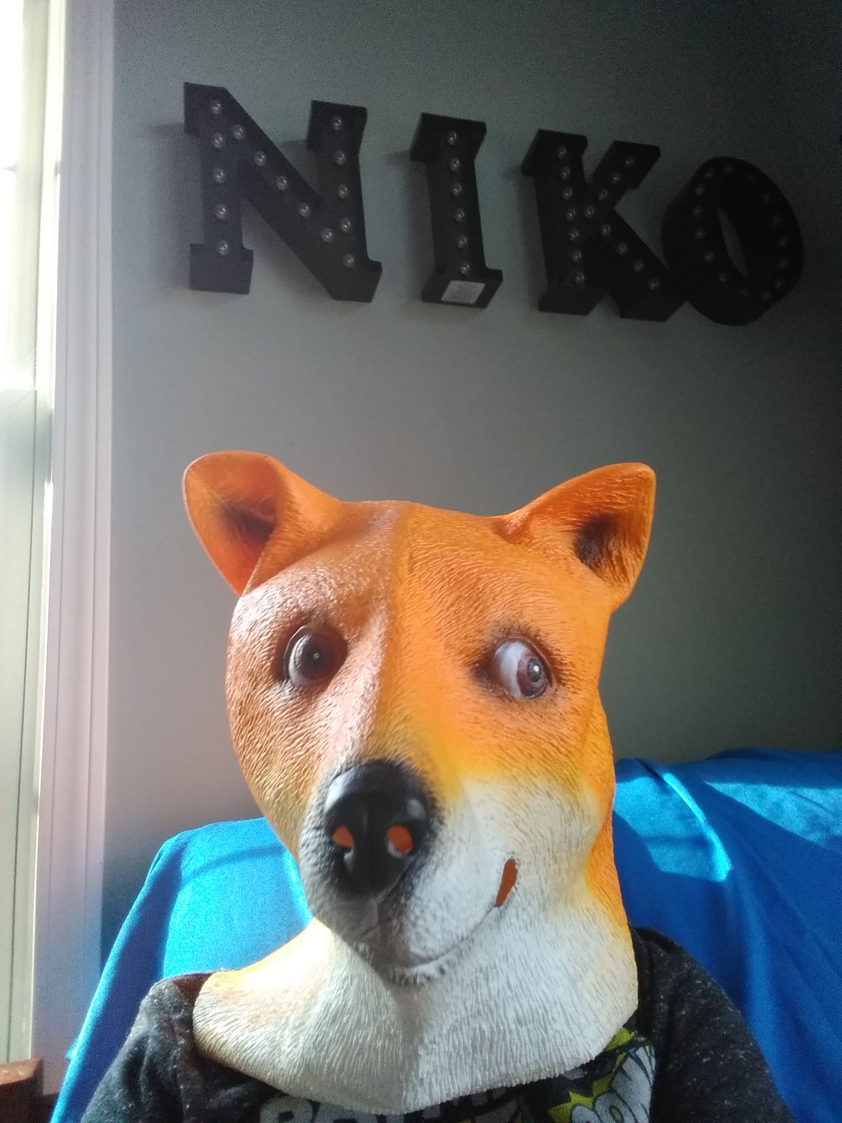 I got I Doge mask for my cousin (applelucas)'s Christmas present Blank Meme Template