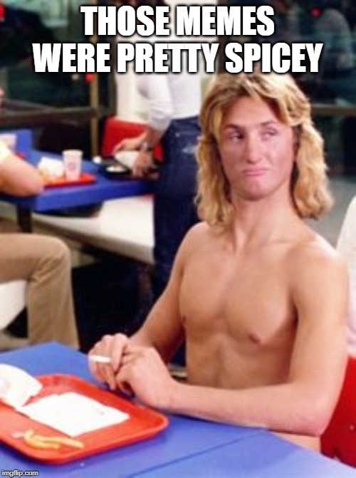 Shirtless Spicoli | THOSE MEMES WERE PRETTY SPICEY | image tagged in shirtless spicoli | made w/ Imgflip meme maker