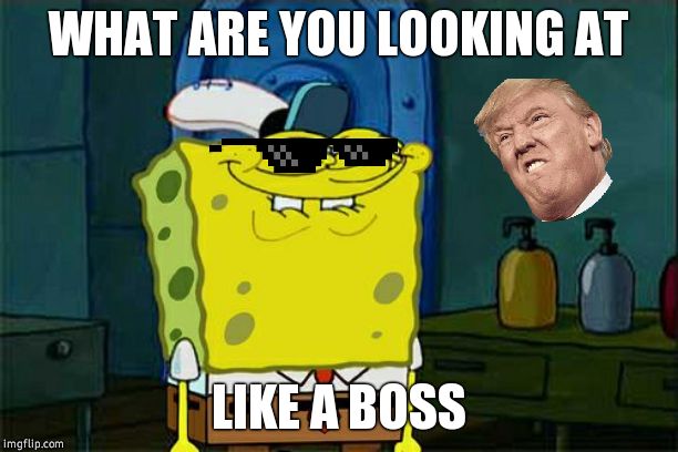 Don't You Squidward Meme | WHAT ARE YOU LOOKING AT; LIKE A BOSS | image tagged in memes,dont you squidward | made w/ Imgflip meme maker