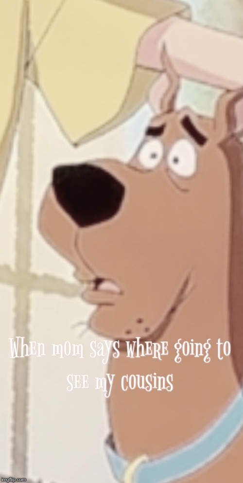 Not them | image tagged in scooby doo | made w/ Imgflip meme maker
