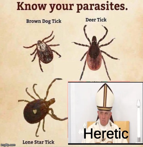 Heretic | image tagged in pope francis,heretic | made w/ Imgflip meme maker