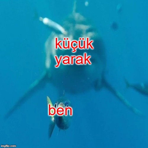 küçük yarak; ben | made w/ Imgflip meme maker