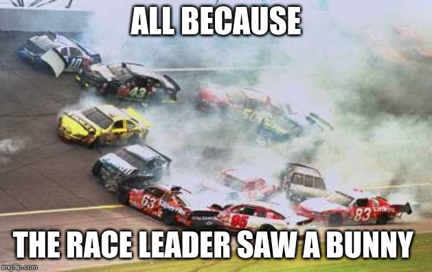 Because Race Car | ALL BECAUSE; THE RACE LEADER SAW A BUNNY | image tagged in memes,because race car | made w/ Imgflip meme maker