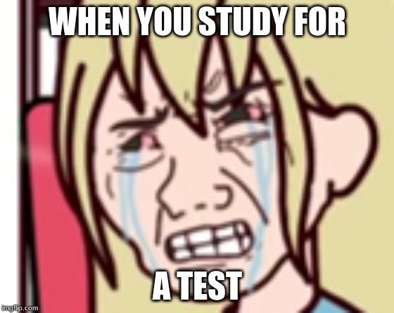 Tests | WHEN YOU STUDY FOR; A TEST | image tagged in school | made w/ Imgflip meme maker