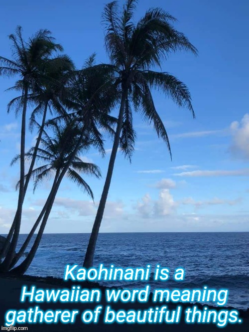 Kaohinani is a Hawaiian word meaning gatherer of beautiful things. | image tagged in hawaii,beach,beautiful | made w/ Imgflip meme maker