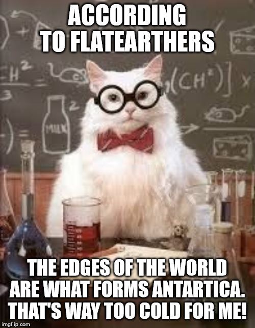 SMART CAT | ACCORDING TO FLATEARTHERS THE EDGES OF THE WORLD ARE WHAT FORMS ANTARTICA. THAT'S WAY TOO COLD FOR ME! | image tagged in smart cat | made w/ Imgflip meme maker