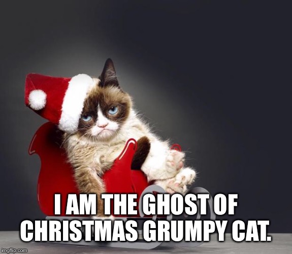 Grumpy Cat Christmas HD |  I AM THE GHOST OF CHRISTMAS GRUMPY CAT. | image tagged in grumpy cat christmas hd | made w/ Imgflip meme maker