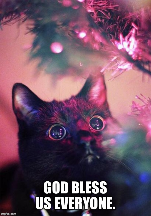 Christmas Cat | GOD BLESS US EVERYONE. | image tagged in christmas cat | made w/ Imgflip meme maker
