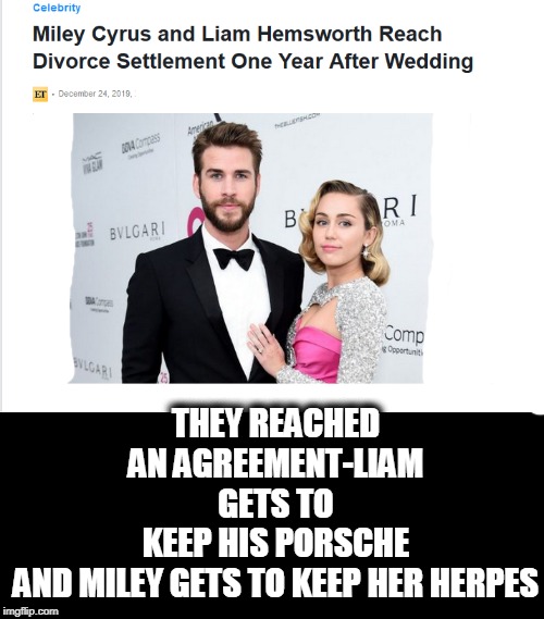 miley | THEY REACHED AN AGREEMENT-LIAM GETS TO KEEP HIS PORSCHE AND MILEY GETS TO KEEP HER HERPES | image tagged in hollywood liberals | made w/ Imgflip meme maker