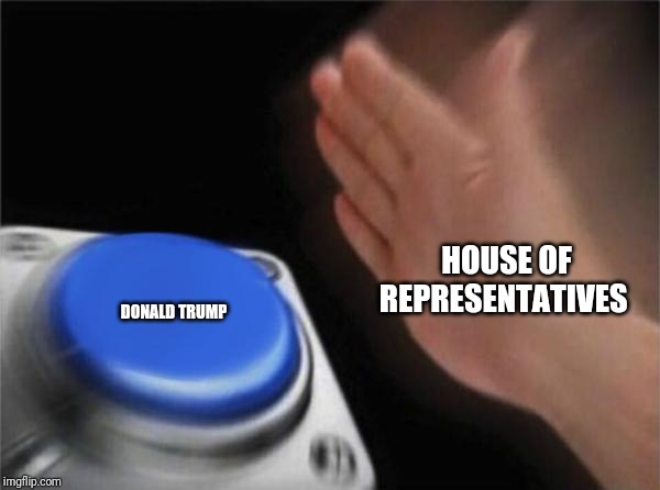 Blank Nut Button Meme | HOUSE OF REPRESENTATIVES; DONALD TRUMP | image tagged in memes,blank nut button | made w/ Imgflip meme maker