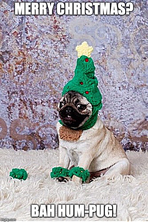 Christmas Pug | MERRY CHRISTMAS? BAH HUM-PUG! | image tagged in christmas pug | made w/ Imgflip meme maker