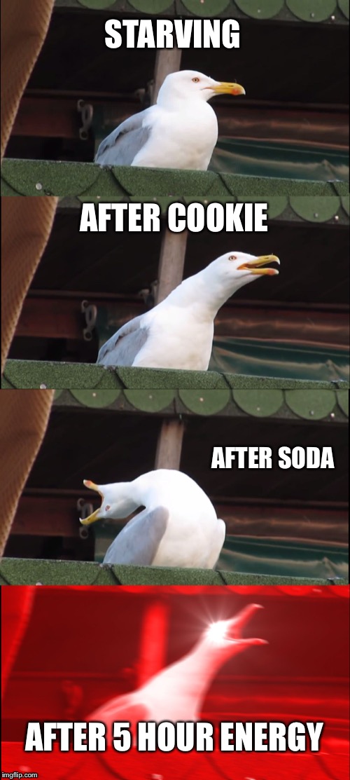 Inhaling Seagull | STARVING; AFTER COOKIE; AFTER SODA; AFTER 5 HOUR ENERGY | image tagged in memes,inhaling seagull | made w/ Imgflip meme maker