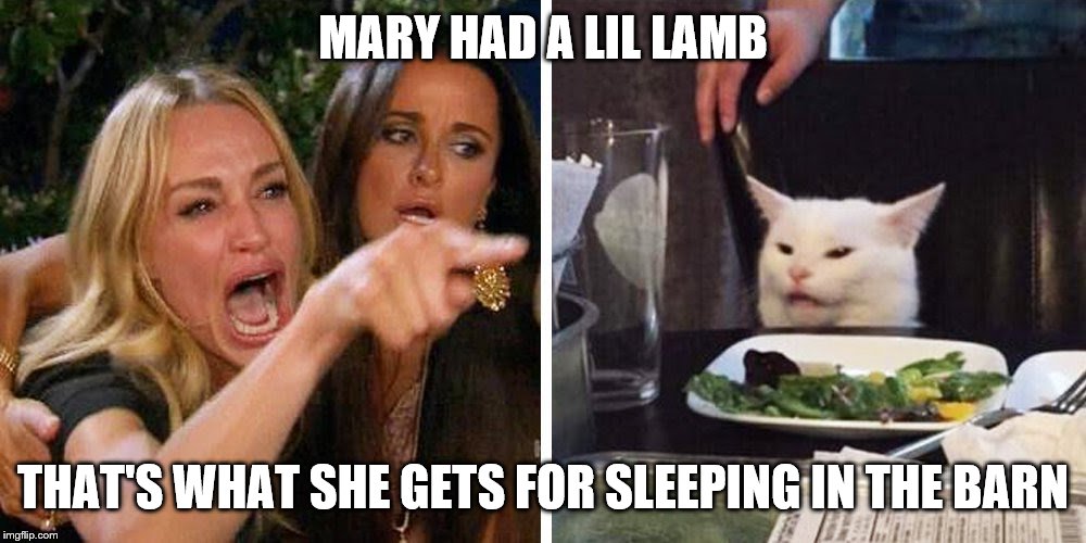 Smudge the cat | MARY HAD A LIL LAMB; THAT'S WHAT SHE GETS FOR SLEEPING IN THE BARN | image tagged in smudge the cat | made w/ Imgflip meme maker