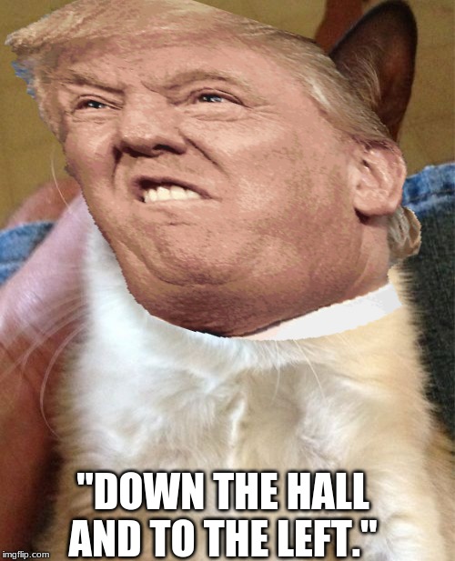 "DOWN THE HALL AND TO THE LEFT." | image tagged in donald trump,grumpy cat | made w/ Imgflip meme maker