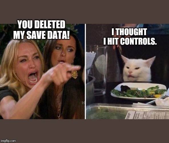 Angry lady cat | YOU DELETED MY SAVE DATA! I THOUGHT  I HIT CONTROLS. | image tagged in angry lady cat | made w/ Imgflip meme maker