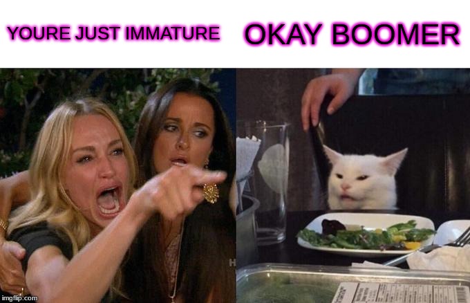 Woman Yelling At Cat | YOURE JUST IMMATURE; OKAY BOOMER | image tagged in memes,woman yelling at cat | made w/ Imgflip meme maker
