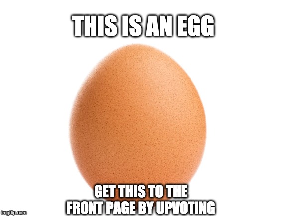 World Record Egg | THIS IS AN EGG; GET THIS TO THE FRONT PAGE BY UPVOTING | image tagged in egg,funny,memes | made w/ Imgflip meme maker
