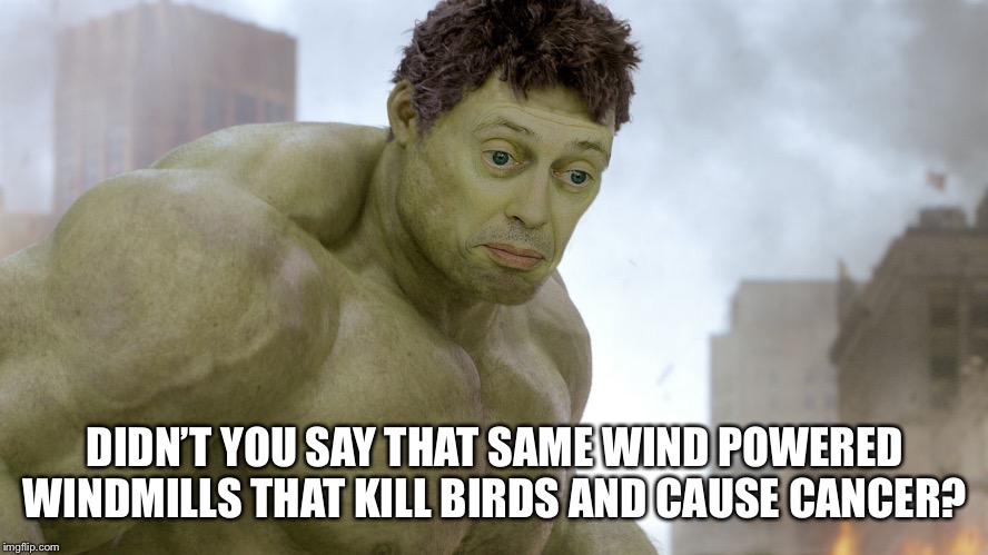 steve buscemi hulk | DIDN’T YOU SAY THAT SAME WIND POWERED WINDMILLS THAT KILL BIRDS AND CAUSE CANCER? | image tagged in steve buscemi hulk | made w/ Imgflip meme maker