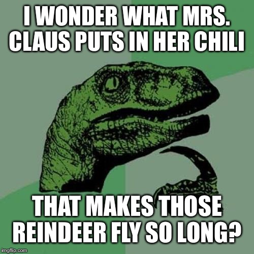 Philosoraptor | I WONDER WHAT MRS. CLAUS PUTS IN HER CHILI; THAT MAKES THOSE REINDEER FLY SO LONG? | image tagged in memes,philosoraptor | made w/ Imgflip meme maker