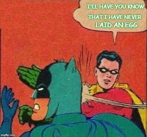 Robin Slaps Batman | THAT I HAVE NEVER; I'LL HAVE YOU KNOW; LAID AN EGG | image tagged in robin slaps batman | made w/ Imgflip meme maker