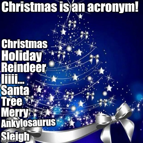 Merry Christmas  | Christmas is an acronym! Christmas; Holiday; Reindeer; Iiiii... Santa; Tree; Merry; Ankylosaurus; Sleigh | image tagged in merry christmas | made w/ Imgflip meme maker