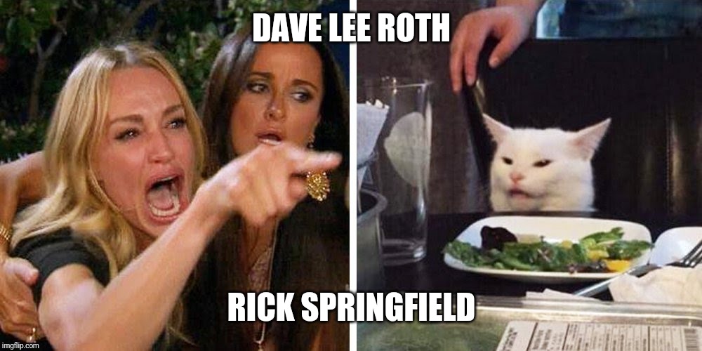 Smudge the cat | DAVE LEE ROTH; RICK SPRINGFIELD | image tagged in smudge the cat | made w/ Imgflip meme maker